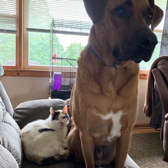 Meet your posher, Kim - Picture 8 of 12